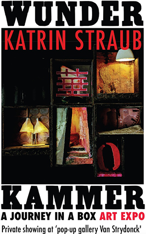 katrin straub, wunderkammer